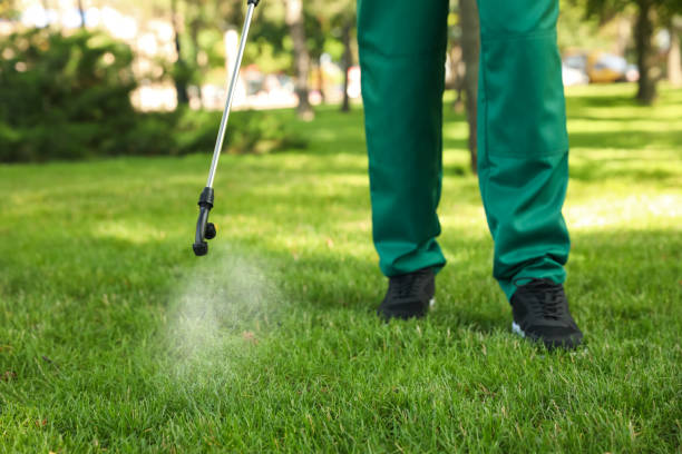 Best Ant Control Services  in Yreka, CA