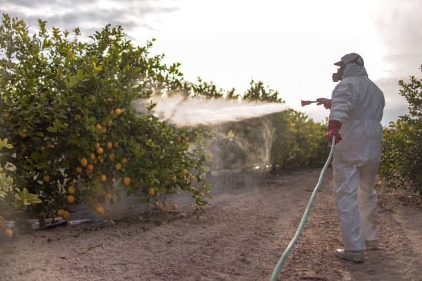 Yreka, CA Pest Control Company
