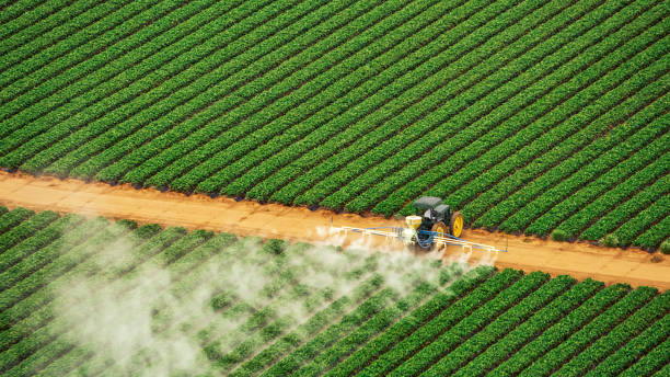 Best Mosquito Control Services  in Yreka, CA