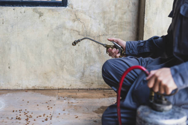 Best Best Pest Control Companies  in Yreka, CA