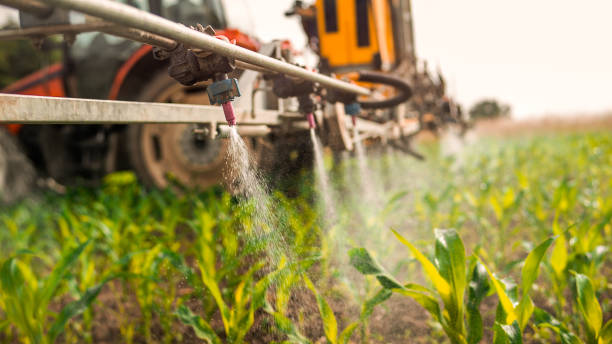 Best Commercial Pest Control Services  in Yreka, CA