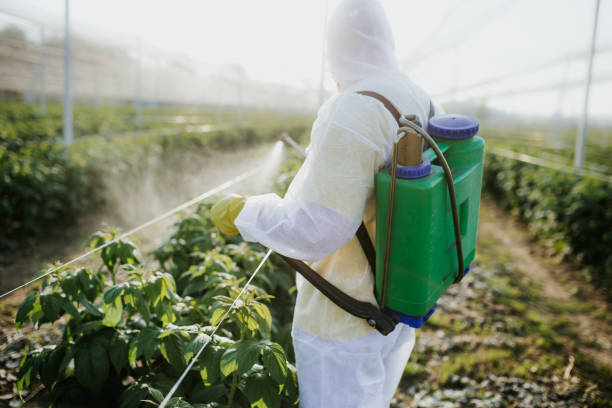 Best Pest Removal Services  in Yreka, CA